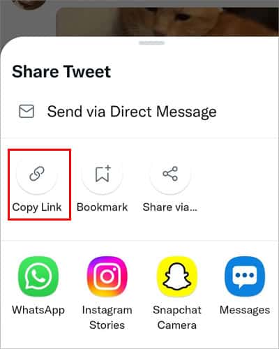 How To Embed Video On Twitter  - 99