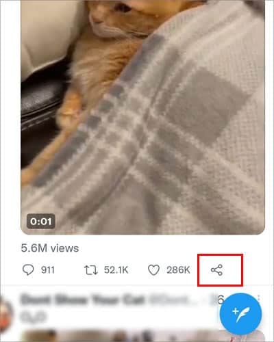 How To Embed Video On Twitter  - 89