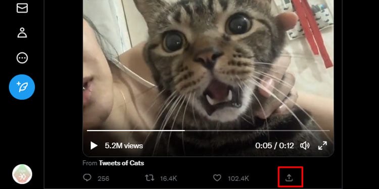 How To Embed Video On Twitter  - 71