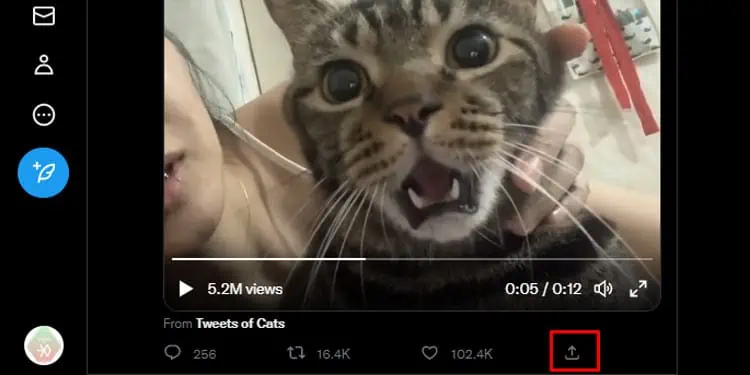 Embed-Twitter-Video-PC-Share