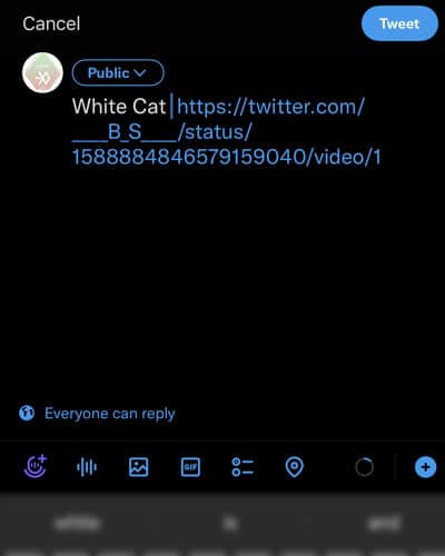 How To Embed Video On Twitter  - 48