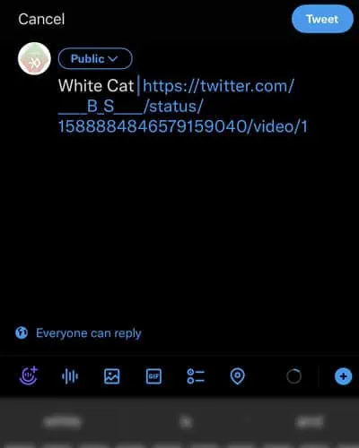 Embed-Twitter-Video-iPhone-Tweet-Video-Caption