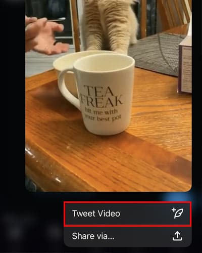 How To Embed Video On Twitter  - 17