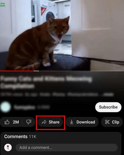How To Embed Video On Twitter  - 67