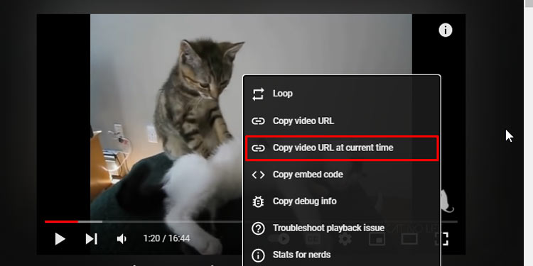 How To Embed Video On Twitter  - 16