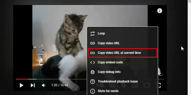 How to Embed Video on Twitter? 47 Embed-Youtube-Video-PC-Copy-Video-URL-At-Current-Time