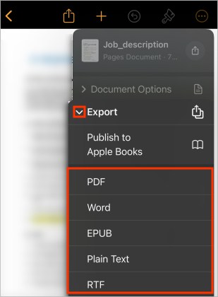 Export-Pages-in-different-formats-iPhone