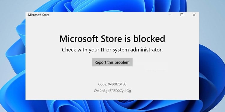 Microsoft Store blocked in Windows 11