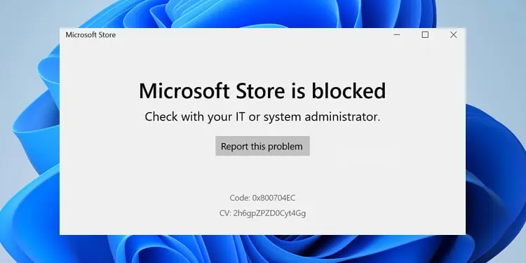 Microsoft Store Blocked in Windows 11? Here’s How to Fix it