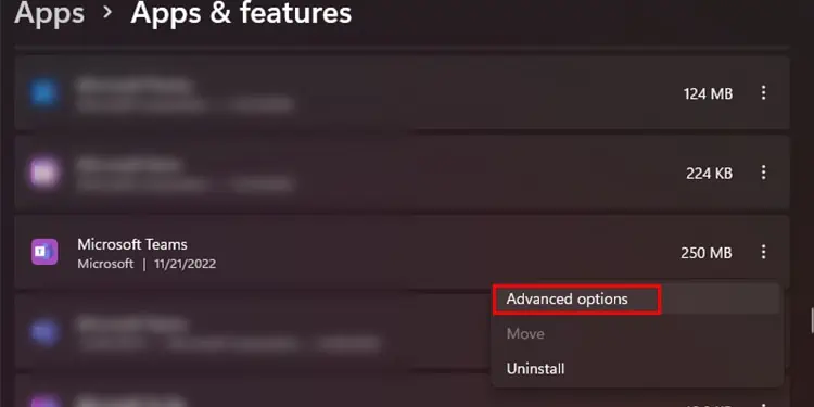 Teams-advanced-option