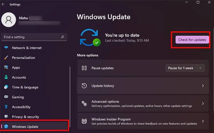 choose-Windows-Update-1