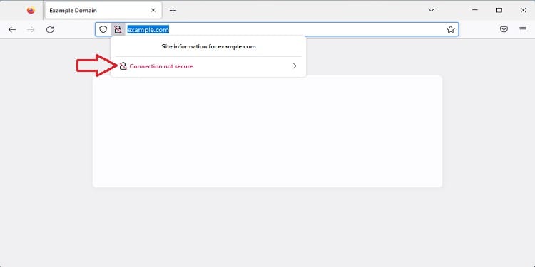 What Does  Your Connection Is Not Secure  Error Mean  How To Fix It - 47