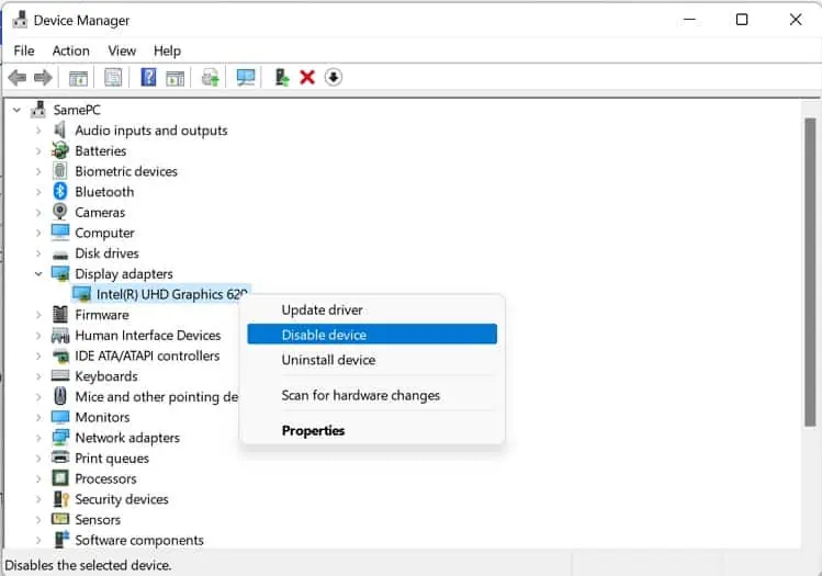 disable-display-adapter