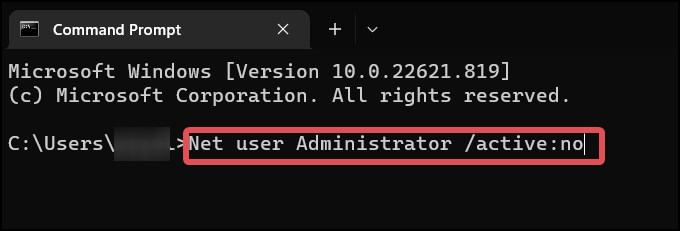 disable netuser command