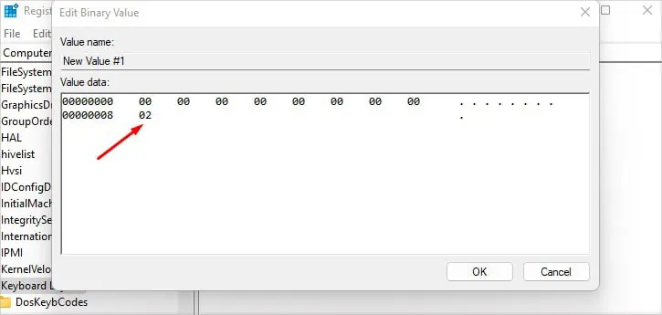 enter-02-or-03-hex-code