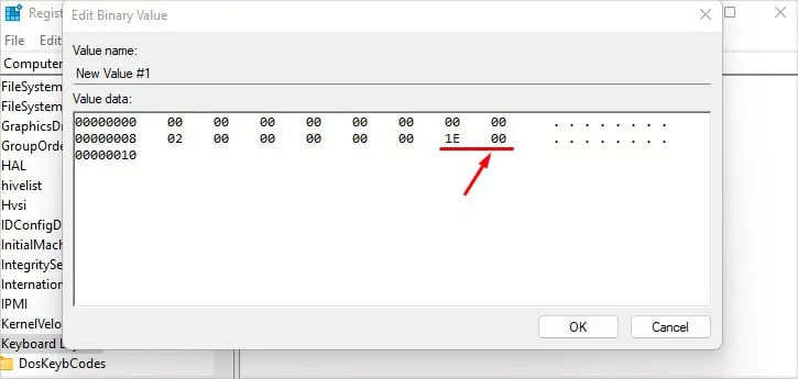 How to Disable a Key on Keyboard 32 enter-letter-specific-hex-code