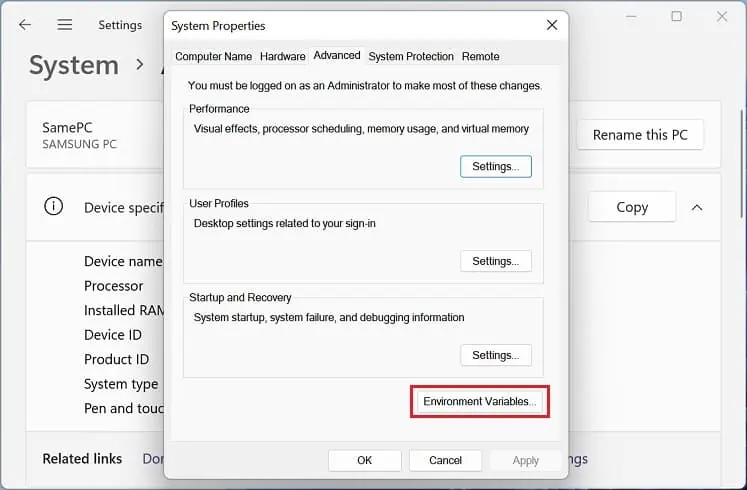 environment-variables-button