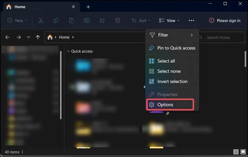 file-explorer-options