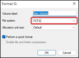 file drive format