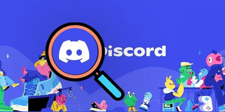How to Pull IPs on Discord