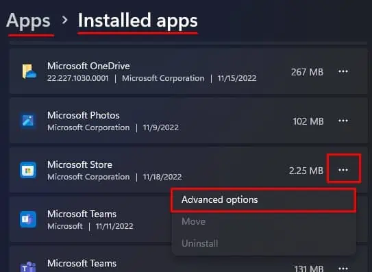 installed-apps-advanced-option-microsoft-store-internet-access