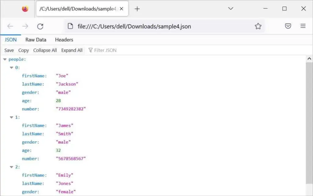 json-file-on-firefox-1024x643