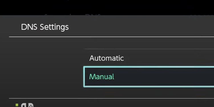 manual dns settings