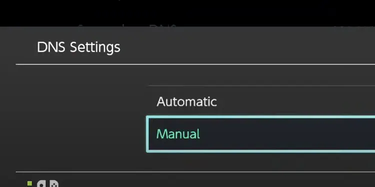 manual-dns-settings