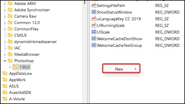 How to Fix Problem Parsing JPEG Data in Photoshop 42 new-registry-1