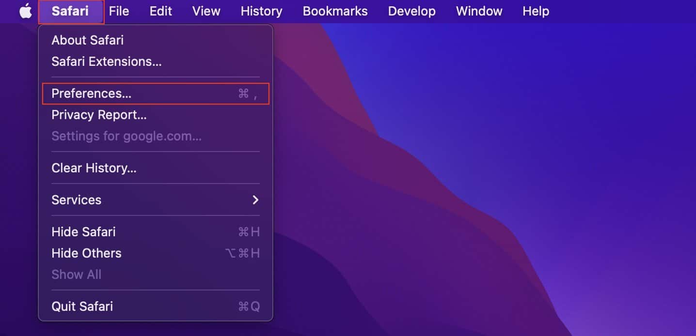 safari-preferences