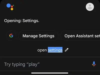 say-Open-settings