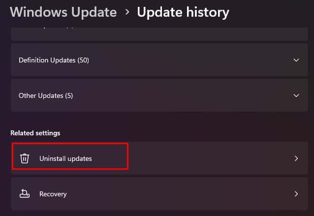 Fix  Windows Did Not Detect Any Networking Hardware - 39