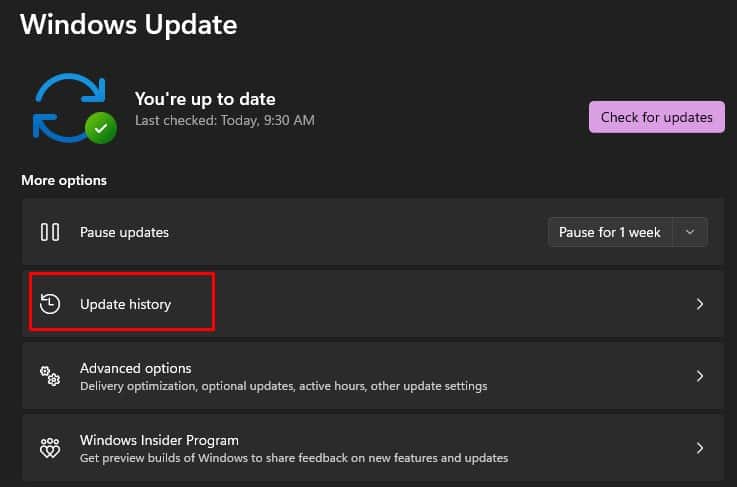 Fix  Windows Did Not Detect Any Networking Hardware - 43