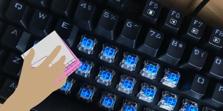 Function Key (Fn) Is Not Working - How To Fix It 3 Clean mechanical keyboard