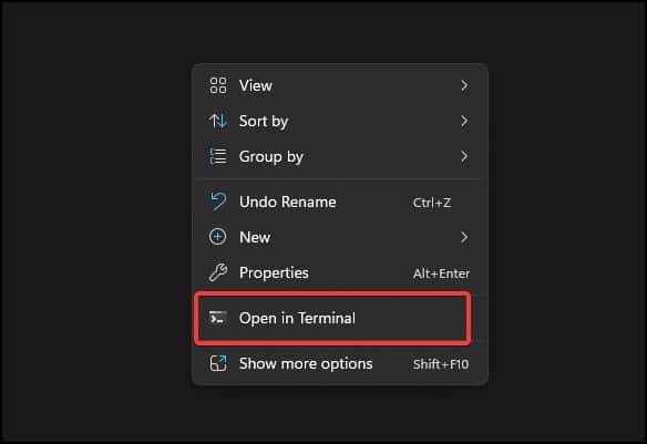 Open USB volume in terminal