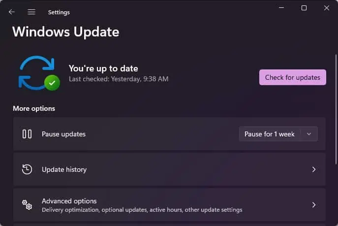 8 Ways to Fix Black Screen Of Death On HP Laptop 16 Windows-update-1