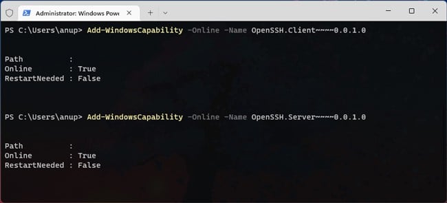 add-windows-capability-openssh