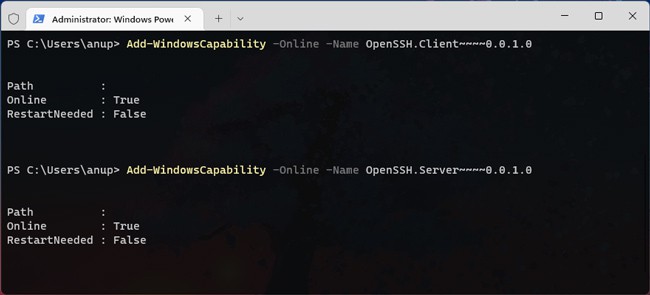 add-windows-capability-openssh