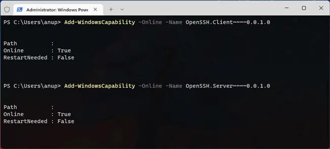 add-windows-capability-openssh
