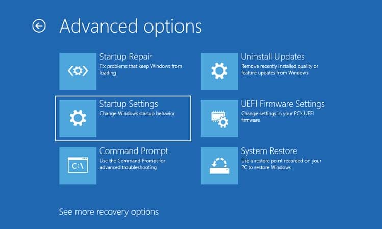 advanced options in startup settings