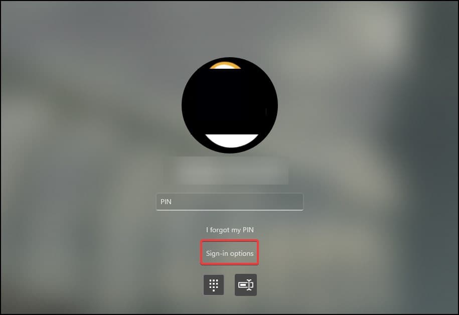alternate login
