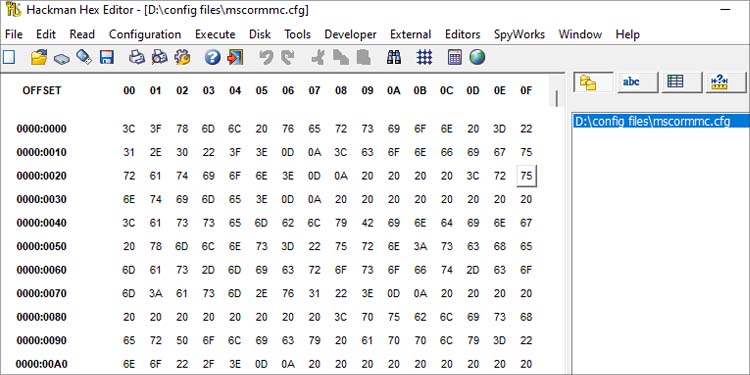 cfg file in hex editor 2