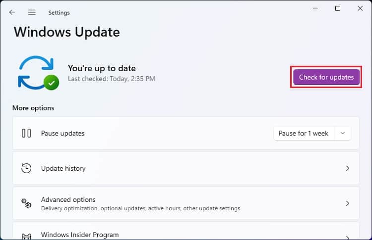 check for updates
