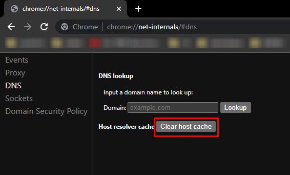 clear dns cache dns probe error