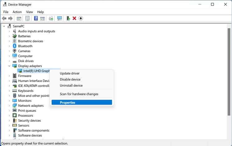 display adapters properties
