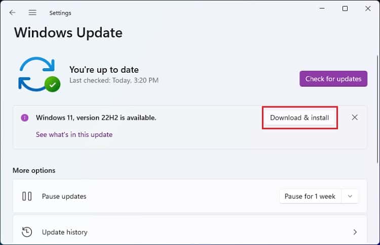 download and install button in windows update