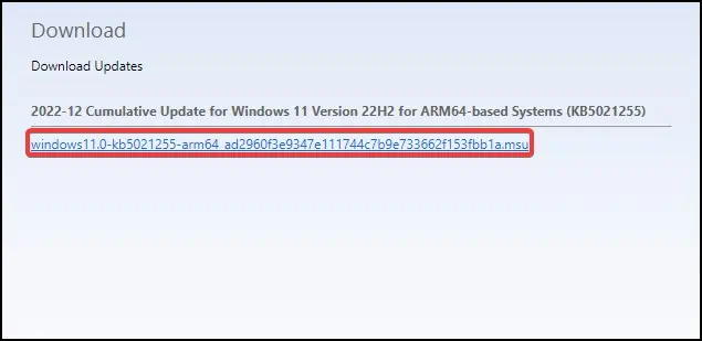 download-update-confirm