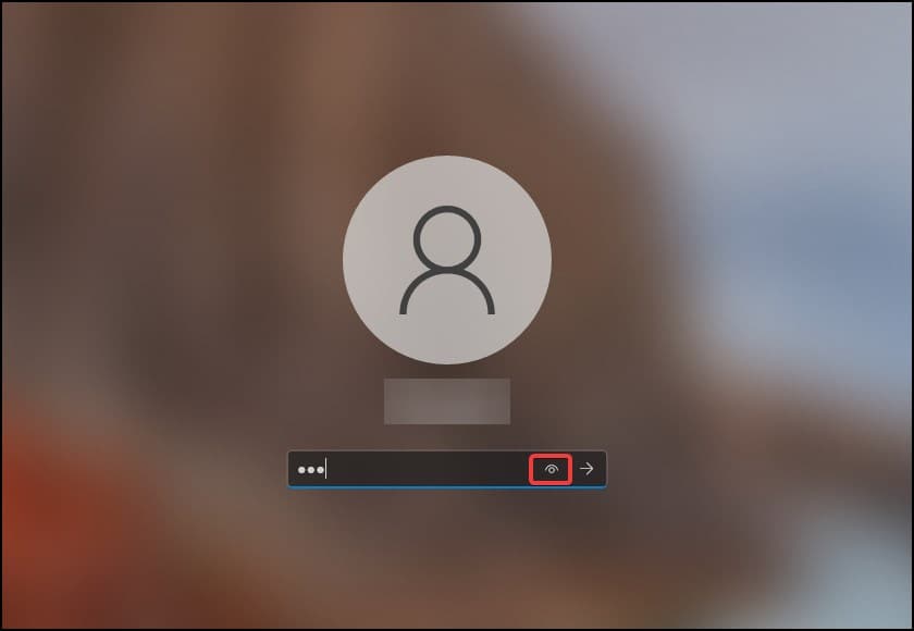 eye icon login