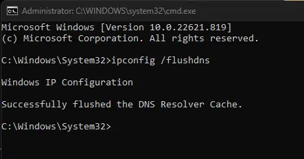 flush-dns-dns-probe-error
