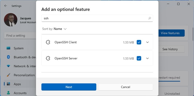 install-openssh-client-server